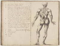 KT 2001 142
<br/>
Geraamtens en Anatomi Beelden
<br/>
<em>Claterbos, Augustijn (1750-1828)</em>